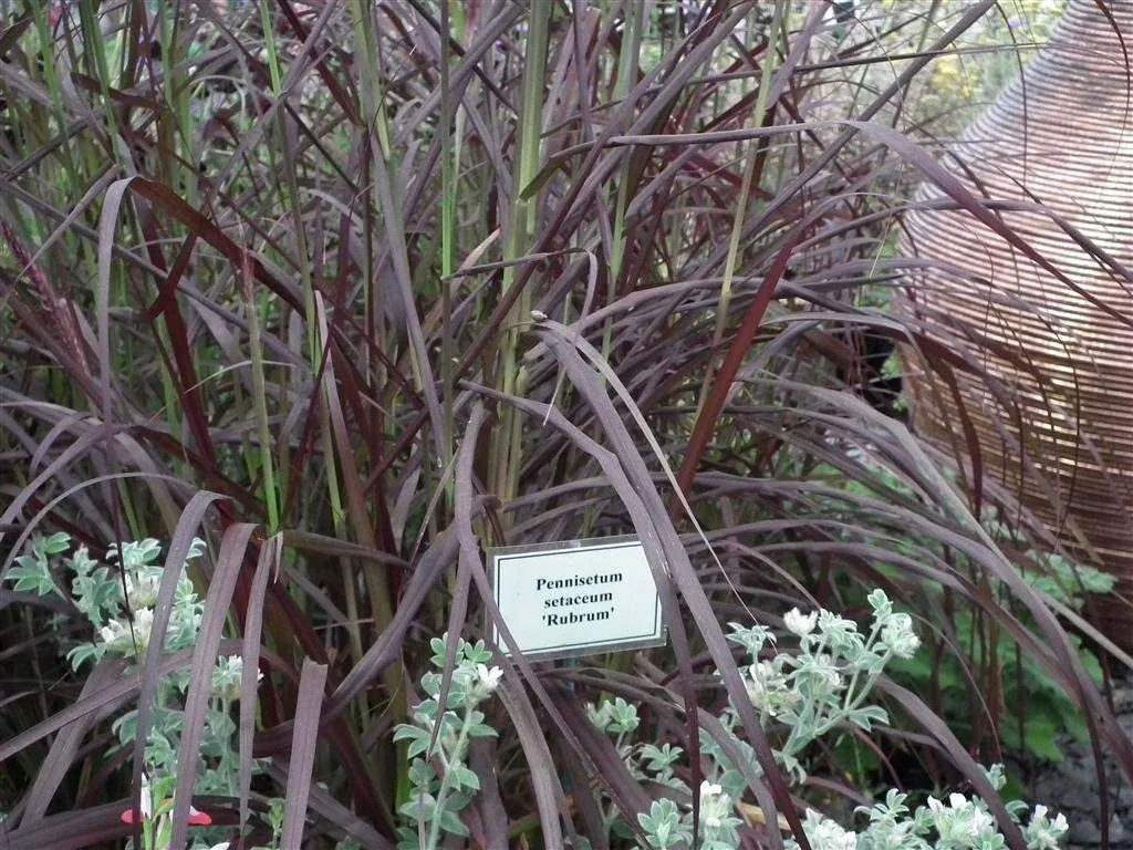 Floral marquee in the long water area 60